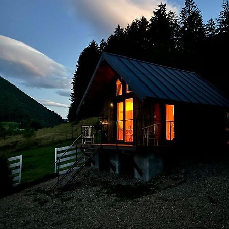Вилла Bramble Tiny House Зэрнешти Экстерьер фото