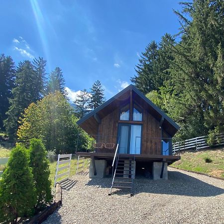 Вилла Bramble Tiny House Зэрнешти Экстерьер фото