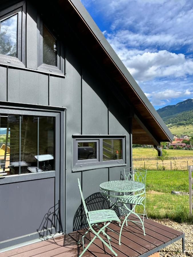 Вилла Bramble Tiny House Зэрнешти Экстерьер фото