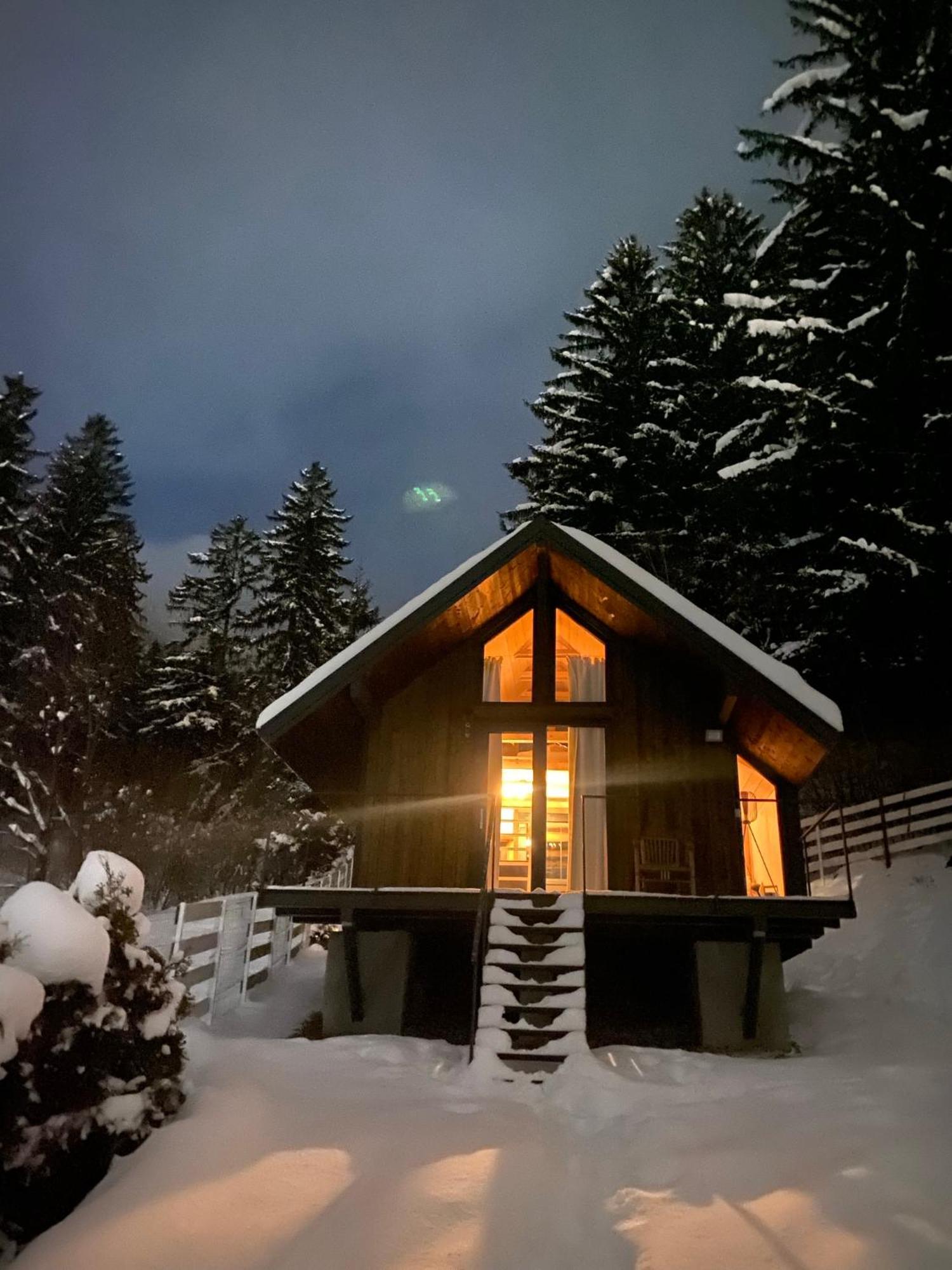 Вилла Bramble Tiny House Зэрнешти Экстерьер фото